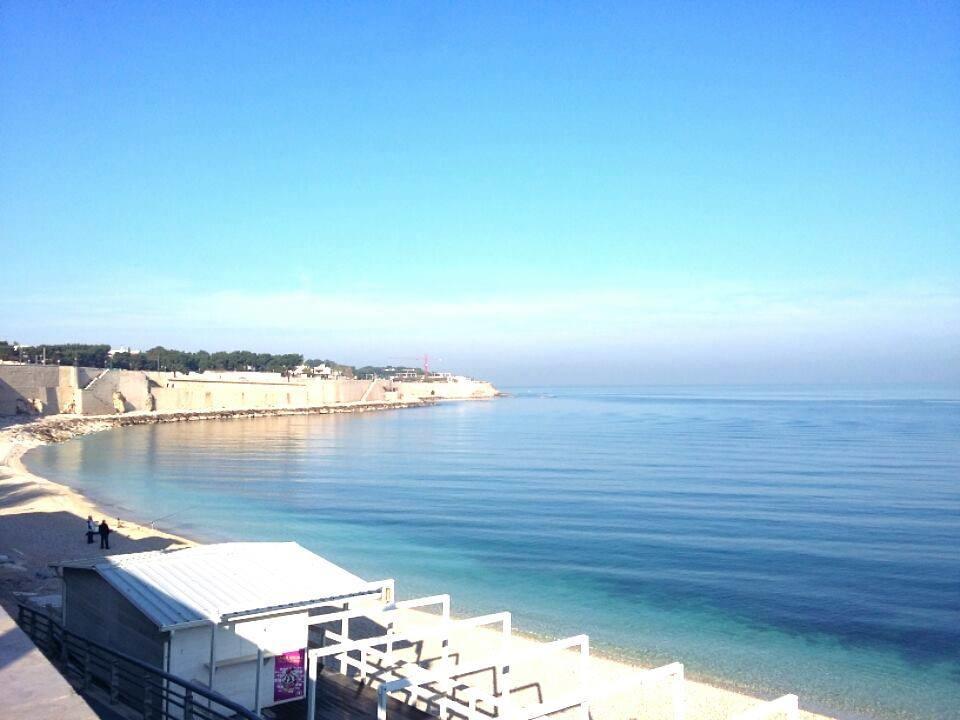 B&B La Baia Sea Rooms Bisceglie Eksteriør bilde
